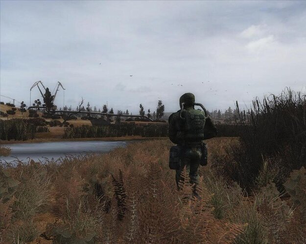 Thruthemarsh.jpg.3a2d49b5650b2bb817c60d34a1c5ef8b.jpg