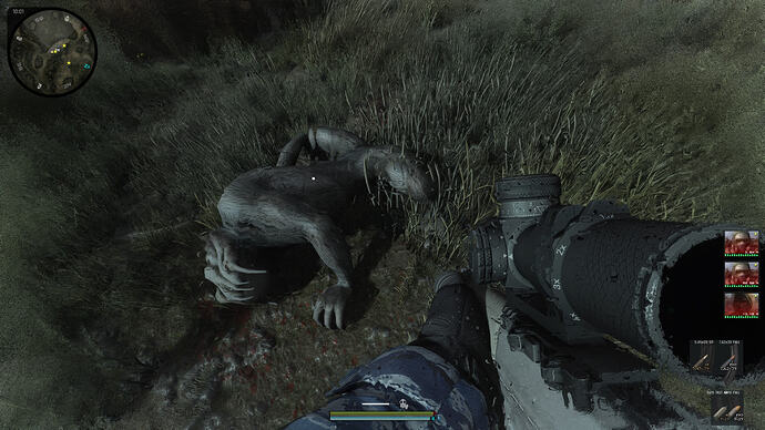 LURKER  02-24-26_13-29-30(k00_marsh)