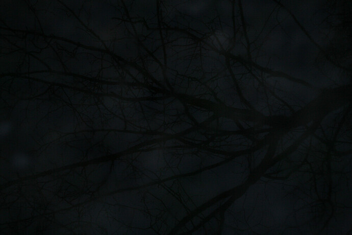 aIMG8508.jpg.258d404ccdaa7264e00b5a130715ed51.jpg