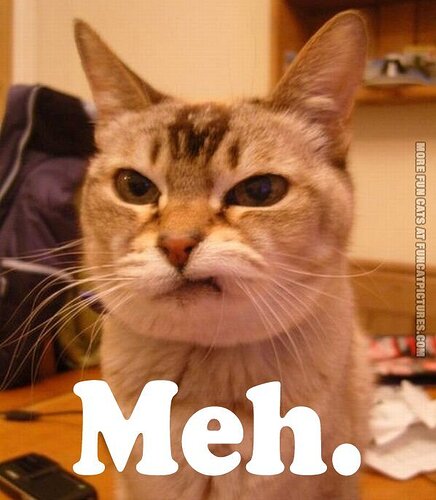 funny-cat-pics-meh1.jpg.1ee9169990b1104cc43d8f5871c20735.jpg