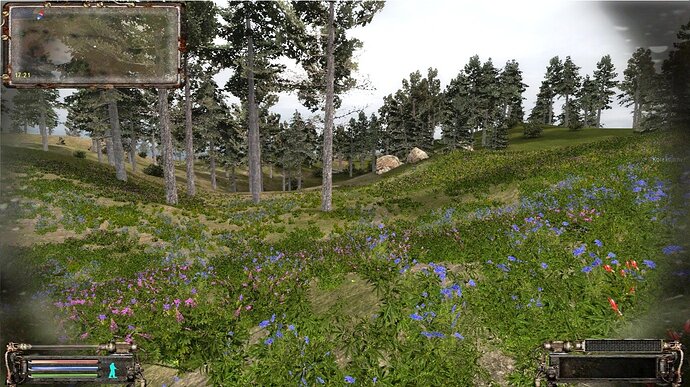 ssw8pro01-29-2214-29-41(l51lostvalley).jpg.e2e39d83f31f546d7c2187f78eac735e.jpg