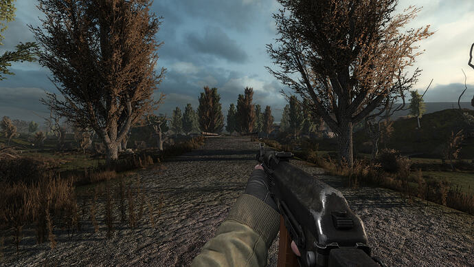 17704520408978574343028499930424