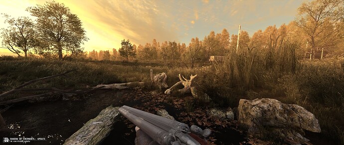 17602535793467991409395769567780