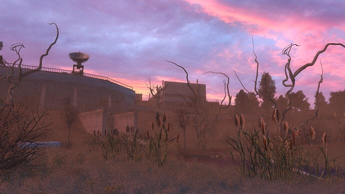 17749013733144609904109606205051