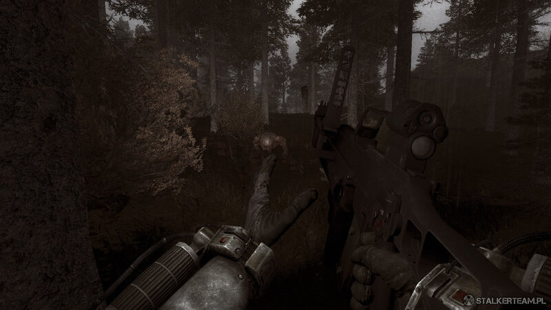 DeadCityEpiloguestalkerteamscr1.thumb.jpg.d6703308a0a990ccdd595874c15acbd0.jpg
